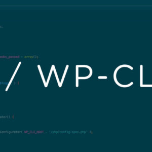 Understanding WP-CLI, and a discussion on micro plugin businesses