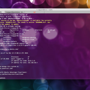 WordPress Development Tools