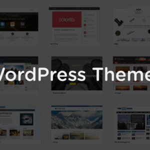 What is a WordPress theme anyway?