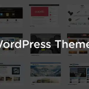 What is a WordPress theme anyway?