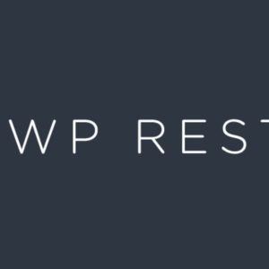 WordPress REST API in Core