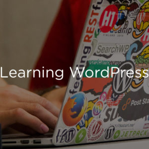 Learning WordPress development and how employers should look at candidates
