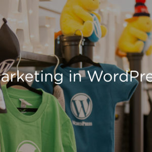 Marketing and positioning WordPress products
