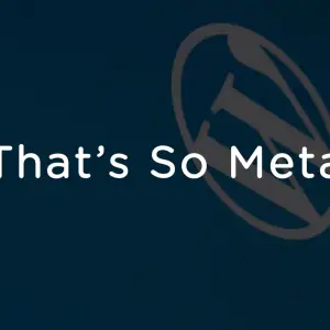The meta episode