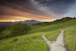 Episode 4 – JSON REST API, Auto Update Hooks, Reviewing WP.org Plugins, Post Forking