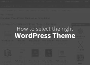 How to select the right WordPress theme