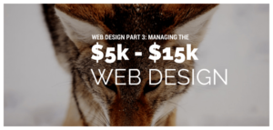 Managing the $5k to $15k web project
