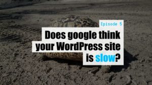 EP5 – Does google think your WordPress site is slow