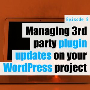 EP8 – Managing 3rd party plugin updates on your WordPress project