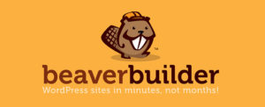 Episode 10: The Beaver Builder Team