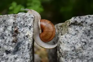 Potencia Pro 094: Detectando brechas de seguridad