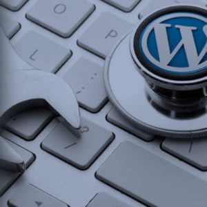 Mantenimiento WordPress – Apuntes para emprendedores #03