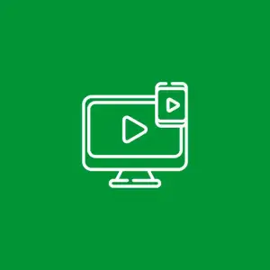 WP YouTube Lyte