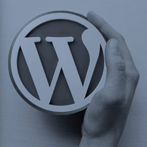 Mantener tu WordPress al día – Apuntes para emprendedores #01