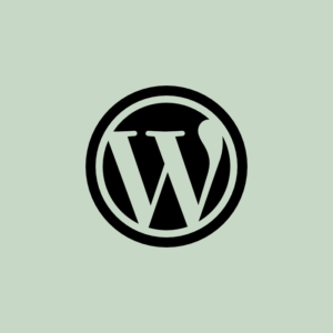 WordPress 5.5