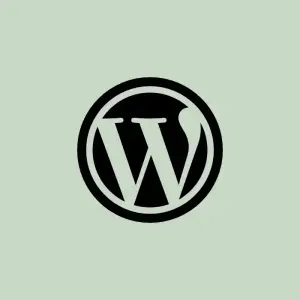 WordPress 5.5