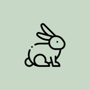 BunnyNet ¡tres en uno!