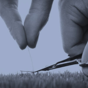 Evitar el perfeccionismo – Apuntes para emprendedores #04