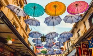 Potencia Pro 209: Precio elegido por el cliente y trucos html que puede que no conozcas