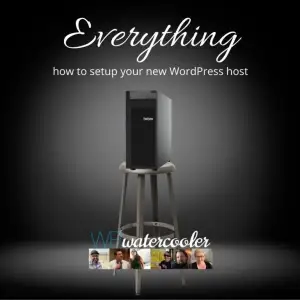 Everything (how to setup your new WordPress host)