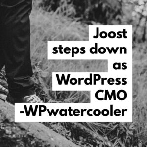 Joost steps down as WordPress CMO