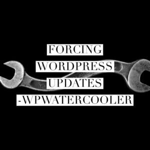 Forcing WordPress Updates
