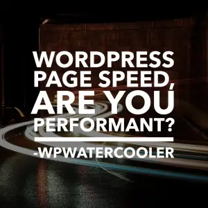 WordPress Page Speed, are you performant?