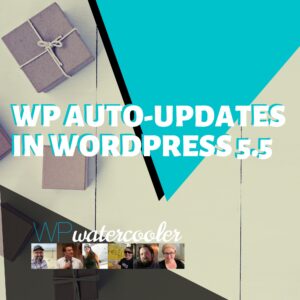 WP Auto-updates in WordPress 5.5