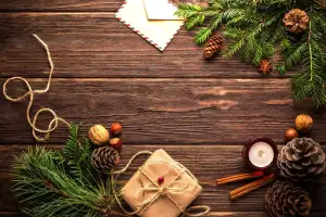 Potencia Pro 270: Cómo crear un Escritorio de WordPress personalizado