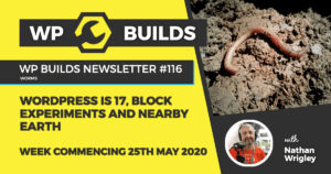 WP Builds Weekly WordPress News #116 – WordPress is 17, Block Experiments and nearby Earth
