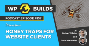 157 – Honey traps for website clients