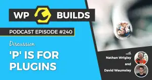240 – ‘P’ is for Plugins