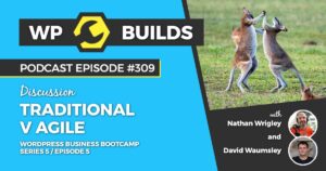 309 – Traditional v Agile
