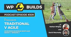309 – Traditional v Agile