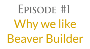 1 – What we like about Beaver Builder Page Builder