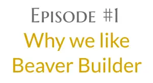 1 – What we like about Beaver Builder Page Builder