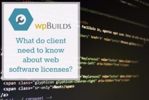 20 – What do clients need to know about web software licenses?