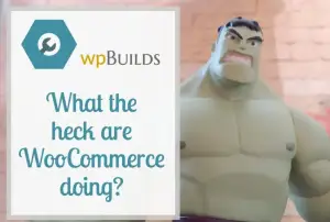 31 – What the heck are WooCommerce doing?