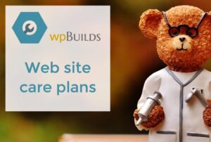 7 – Web site care plans