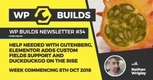 WP Builds Newsletter #34 – Help needed with Gutenberg, Elementor adds Custom Fields integrations and DuckDuckGo on the rise