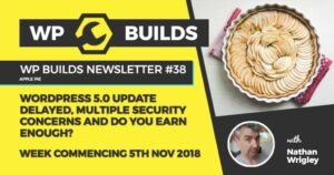 WP Builds Newsletter #38 – WordPress 5.0 update delayed, multiple security concerns and do you earn enough?