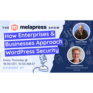 How Enterprises & Businesses Approach WordPress Security | Dan Knauss