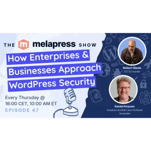 How Enterprises & Businesses Approach WordPress Security | Dan Knauss