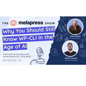 Why You Should Still Know WP-CLI in the Age of AI | Marcel Tannich